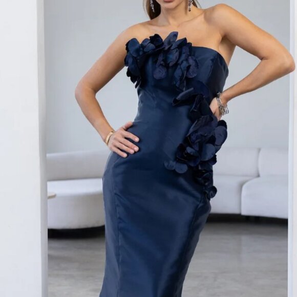Terani Evening Dress Mother of the Bride - Picture 2 of 12